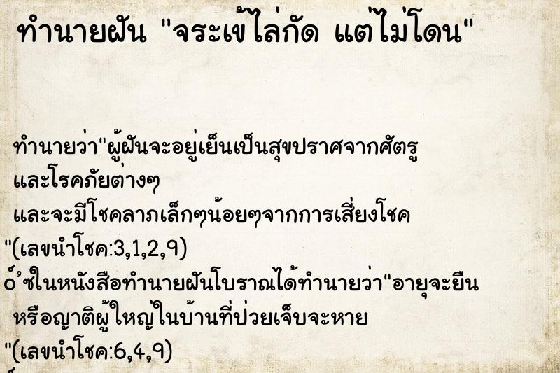 ทำนายฝันจระเข้ไล่กัดแต่ไม่โดน ทำนายฝันทำนายฝันจระเข้ไล่กัดแต่ไม่โดน